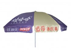太阳大伞YL-T002